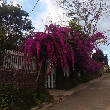Ly'S Homestay Τζία Νγκχία Εξωτερικό φωτογραφία