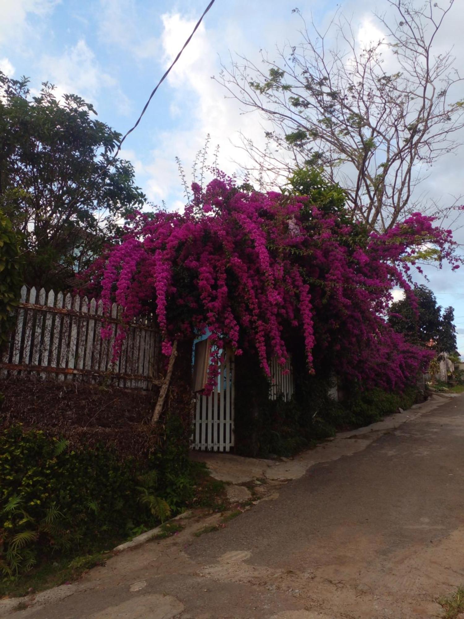 Ly'S Homestay Τζία Νγκχία Εξωτερικό φωτογραφία